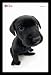 Dog Lab Labrador Retriever Cutest Dog Ever Art Framed Poster Print - 24 X 36