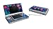 Nintendo DS Lite Skins-silkflowers