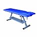 3B Scientific Dark Blue Carbon Steel Therapy Pedestal Treatment Table, 300 lbs Capacity, 204cm Length x 65cm Width x 78cm Height