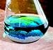 ScholAR Reduction of Vanadium Kit