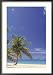 Beach with Trees,Grand Cayman Island Framed Photographic Poster Print by Anne Flinn Powell, 26x36