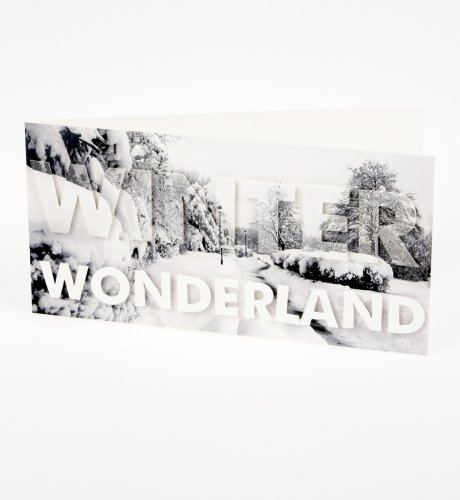 Winter Wonderland Card