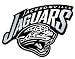 Jacksonville Jaguars NFL Silver Auto Emblem