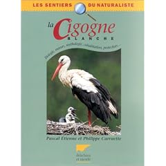 Cigogne blanche (La)