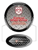 Dodge Plasticolor