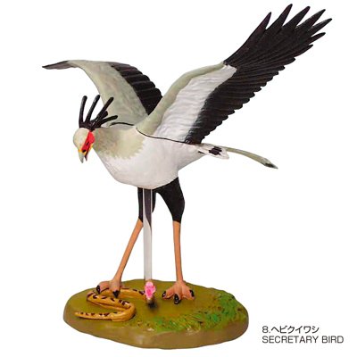 Cover image : 立体図鑑リアルフィギュアボックス ラプター (猛禽類 ワシタカ類)