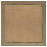 SANYO �z�b�g�J�[�y�b�g (2�������E�u���E��) SYC-CS20F(T)