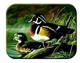Tuftop Tempered Glass Kitchen Board, Wildlife Collection - Wood Ducks by Tuftop
