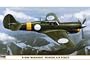 09843 1/48 P-40M Warhawk Finnish Air Force Ltd Ed