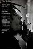 Bob Marley Poster Print, 24x36