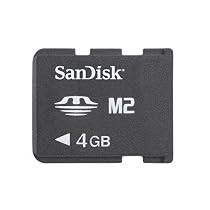 Sandisk 4GB M2 Memory Stick Micro (SDMSM2-4096, Bulk Package) - Harry Potter 6 Books