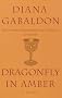 Dragonfly in Amber