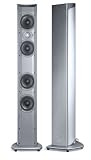 Polk Audio RM8000T Floorstanding Speaker (Single, Titanium)