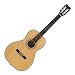 S.Yairi Historic Series YN-28 �A�R�[�X�e�B�b�N�M�^�[ �n�[�h�P�[�X�t
