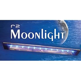 R2 24" Signature Series Aquarium Moonlight