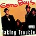 Making Trouble