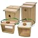 Lohasrus Play fun Kit, Bird House & Bird Hotel, Bug Condo & Bug House (13702)