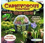 Carnivorous Creations Terrarium