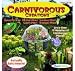 Carnivorous Creations Terrarium
