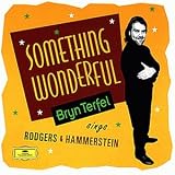 Something Wonderful (Terfel Sings Rodgers And Hammerstein) - Terfel, Daniel, Engl.North.Phil.