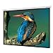 Optoma 120-Inch Panoview Motorized Screen (Matte White)