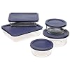 Deals List: Pyrex 6021224 Storage 10-Piece Set, Clear with Blue Lids