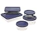 Pyrex Storage 10-Piece Set, Clear with Blue Lids $14.62