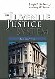 The Juvenile Justice System: Law and Process