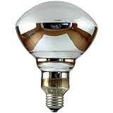 Buy 160W Self-Ballasted Mercury Reflector by EYE