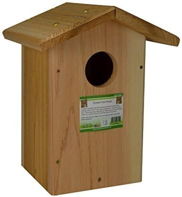 Looker Products Screech Owl, Kestrel and Flicker House by Looker Products