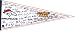 Denver Broncos Super Bowl XXXII Champions Pennant