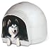 Petmate Dogloo KD Dog House, Large, Off-White Petmate Dogloo KD Dog House, Large, Off-White