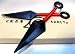 Naruto: Set of 2 Six inches Kunai Plastic(Kid Friendly)