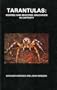 Tarantulas: Keeping & Breeding Arachnids in Captivity