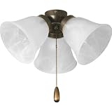 Progress Lighting P2642-20 3-Light Antique Bronze