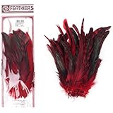 Zucker Feather Products BCCCL8-10--R Chinchilla Rooster Coque Tails