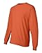 Hanes Adult Beefy-T Long-Sleeve T-Shirt