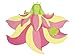 Kidorable Hooded Lotus Towel