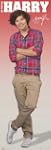 Empire 538994 One Direction - Harry 1...