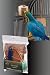 Caitec- Bird Toys 020-00731 Caitec Foraging System Small Hex Boxes 6 pieces
