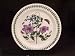 Portmeirion Botanic Garden Dinner Plate(s) - Virgins Bower