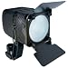 Opteka 150w Professional Halogen Quartz Video Light Kit with 12v Rechargeable Battery Pack for Canon XLH1, XHG1, XHA1, XL2, XL1s, XL1, GL2, and GL1