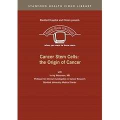 Cancer Stem Cells: the Origin of Cancer