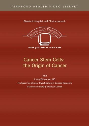 Cancer Stem Cells: the Origin of Cancer
