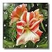 Candy Stripe - Photography Flowers - 10x10 Wall Clock
