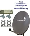 P219 Zehnder Sat Spiegel AY 80-99 anth. Set Multischalter 2 LNBs