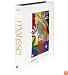 Matisse: From Color to Architecture