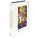 Matisse: From Color to Architecture