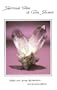 The Spiritual Value of Gem Stones