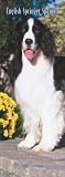English Springer Spaniels 2008 Slimline